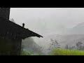 Heavy rain in the beautiful countryside||the perfect sound to go to sleep