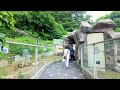 [4K Seoul Grand Park Walk]서울대공원의 공간들을 탐험해봐요 | Let's explore the spaces of Seoul Grand Park | ソウル大公園