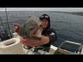 Fishing Catalina Island to Newport Beach! (Catch, Clean and Cook)