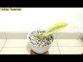 Tanaman Sansevieria Masoniana Varigata !!