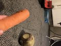 The carrot
