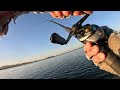 Chasing Striper Boils at O’Neill Forebay (TopWater & Glide Bait Action)