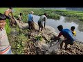 গ্রামের নদীতে মাছ মারার অসাধারণ দৃশ্য  |  Love Fishing