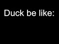 Duck be like: