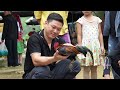Zon sells wild chickens in bulk , Vàng Hoa