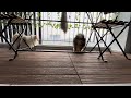 69: at the balcony, chilling with these two cuties! #frankieandprincessthepom #dogofyoutube #tb