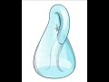 ant walcc on klein bottle