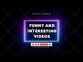 funny and interesting videos