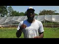 Introducing Black Youth to Agriculture