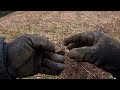 CDC DIG COLCHESTER|metal detecting uk|xp deus 2|#metaldetectinguk #treasurehunting