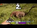 69 theHunter: Call of The Wild Tips | Beginner’s Guide 2024