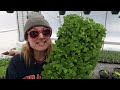 FINAL Big Greenhouse Plant Unboxing of Spring : Flower Hill Farm