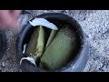 How to Get Lifesaving Water from an Agave Cactus