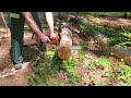 Fixing a Top Handle Chainsaw