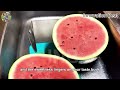 Japan's Black Watermelons: The World's Most Expensive Fruit
