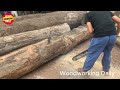 Amazing wood Cutting Work #work #woodcarving