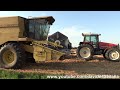 Fiatagri Laverda 3790 & New Holland TX 34 vintage combine harvester | Trebbiatura grano