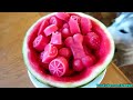 WATERMELON DOG TREAT How to make Frozen DIY Dog Treats  | Snacks with the Snow Dogs 34