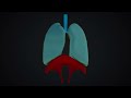 Respiratory System of the Human Body - How the Lungs Work! (Animation)