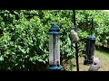 Squirrel vs Brome Squirrel Buster Mini Bird Feeder