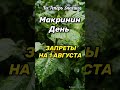 Запреты на 1 Августа #shortsvideo