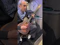 Francis Rossi Roll Over Lay Down acoustic