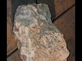 Gigantic opalized Fluorite & Agate Fossil Mineral Rock!