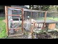 Self build chicken Coop