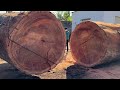 Giant Wood Processing Factory // Sawing 15m Long Trees