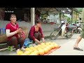 Harvesting Cantaloupe Goes To Market Sell - Distillation and preservation of lard | Free Bushcraft