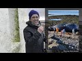 RVK Newscast #83: 3,000 Earthquake in One Day & Stranded Humpback Whale in Garður
