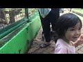 Animal Zoo | Ragunan Zoo | Kebun Binatang Ragunan