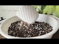 #3  How to prepare DIY potting mix at home | Indoor Plant care -Part 1 | Repotting