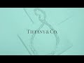 Tiffany & Co.—Jimin of BTS Wears Tiffany HardWear