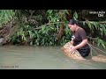 Going down to the river to catch a school of loach fish - Using a bamboo basket