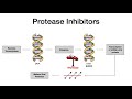 HIV Medications/Drugs