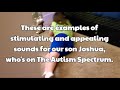 Sensory Processing Disorder and sounds that are stimulating to autistic boy!