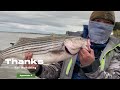 O Neill Forebay, Striped Bass Action