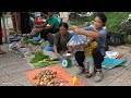 Harvesting Passion Fruit to sell at the market   Gardening to grow Flowers & Ornamental Plants