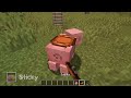 Minecraft wait what meme part 376 realistic minecraft Bed and Villager