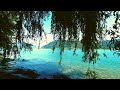 Beautiful Relaxing Music With Water & Bird Sounds With Beautiful Nature 💦 Nature HD #video #nature
