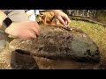 Millennial Stone Cleaner unearthing and preserving old headstones in Des Moines cemetery