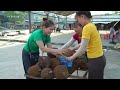 Harvesting A Lot Of Jackfruit ( Mít Mít ) On Trees Goes To The Market Sell - Cooking Dinner