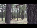 Wild Nothing - Paradise | Music Video