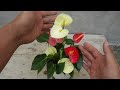 Simple method to propagate Anthurium plant |   How to grow anthurium plant