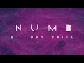 Numb By Cody White (Orignal Song - Lyrics In Description)