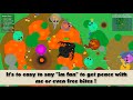 Mope.io // MOUSE TO BLACK DRAGON WITH HONEYCOMBS FOOD // Mope.io Beta run