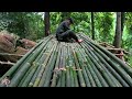 Full Video 1 Month Solo Bushcraft. Build a box-shaped house on a tree. Survive in the Wild.