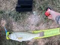 Pond Fishing TIPS, Throw THIS RIG (The Next Time Your Fishing)