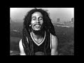 [FREE] bob marley *reggae* type beat - 